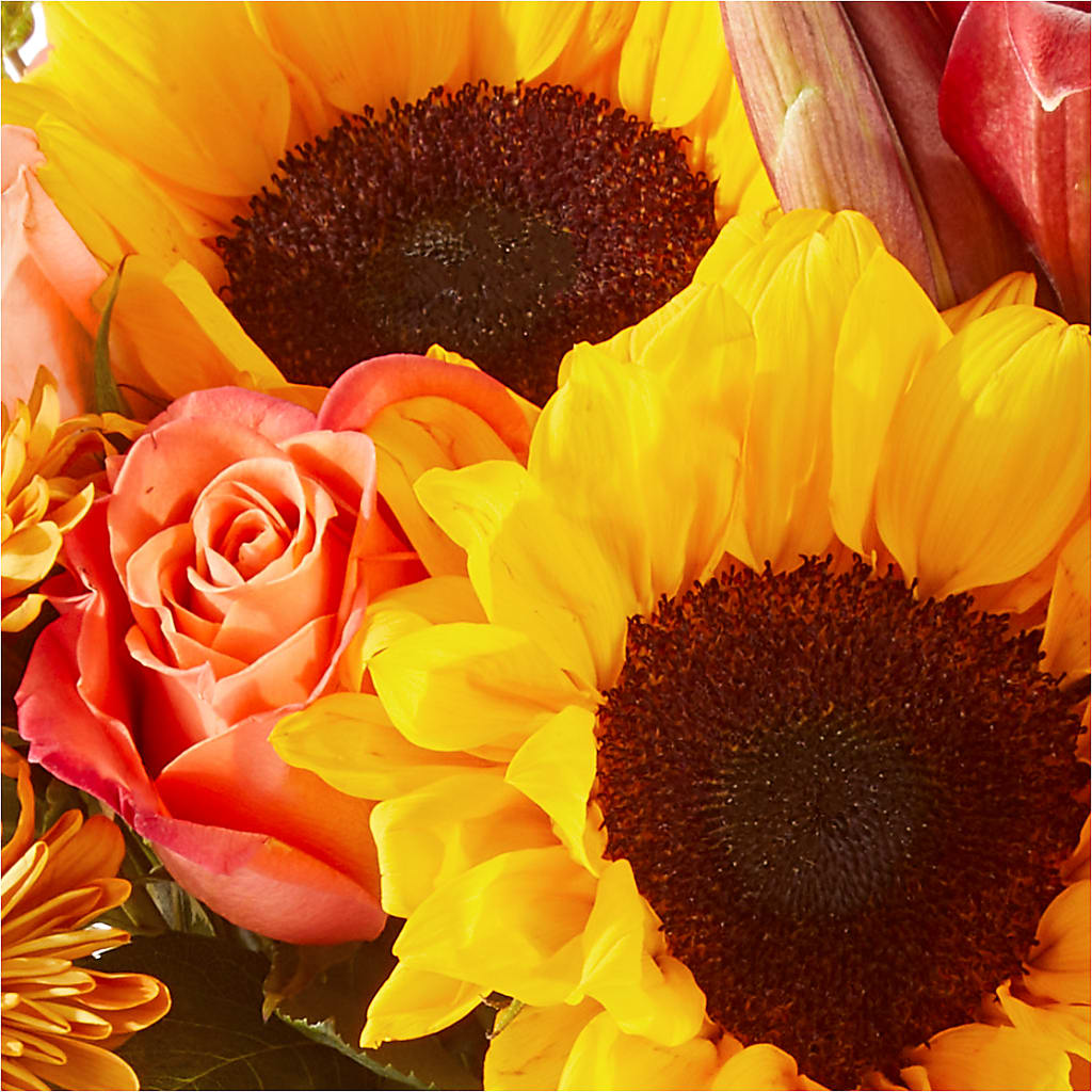 Acorn Lane Bouquet –  All About Flowers, Bellingham WA