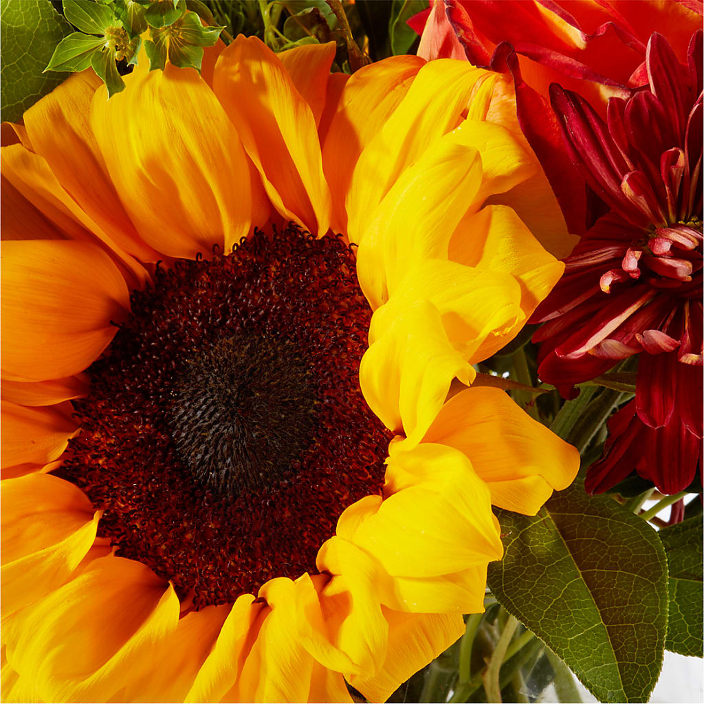 Harvest Festival Bouquet –  All About Flowers, Bellingham WA