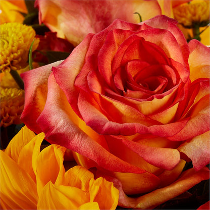 Picnic in the Park Bouquet –  All About Flowers, Bellingham WA