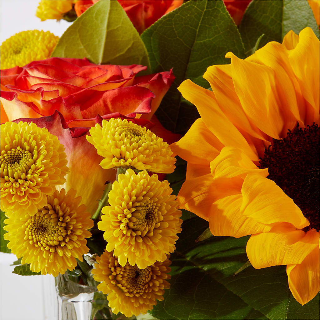 Picnic in the Park Bouquet –  All About Flowers, Bellingham WA