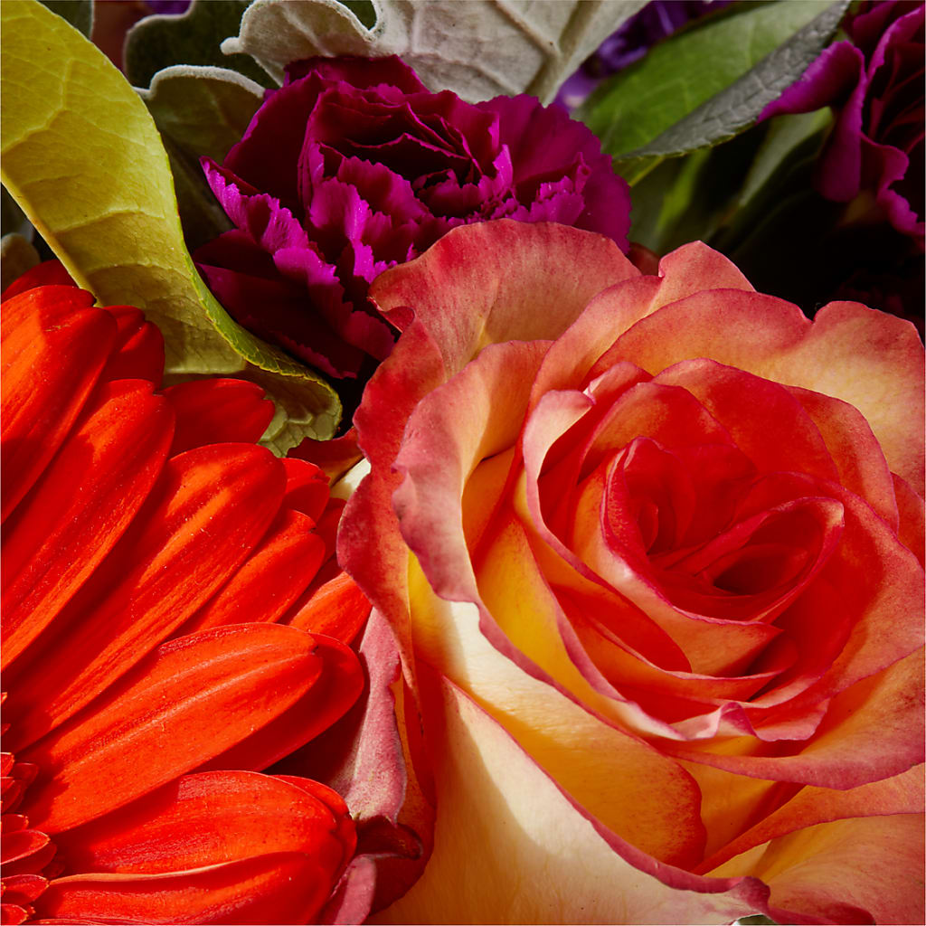 Sangria Bouquet –  All About Flowers, Bellingham WA