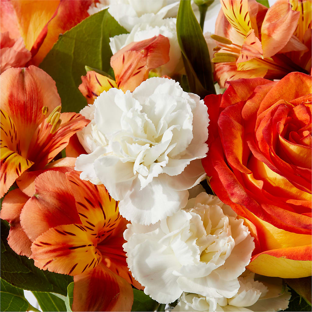Apricot Glow Bouquet –  All About Flowers, Bellingham WA