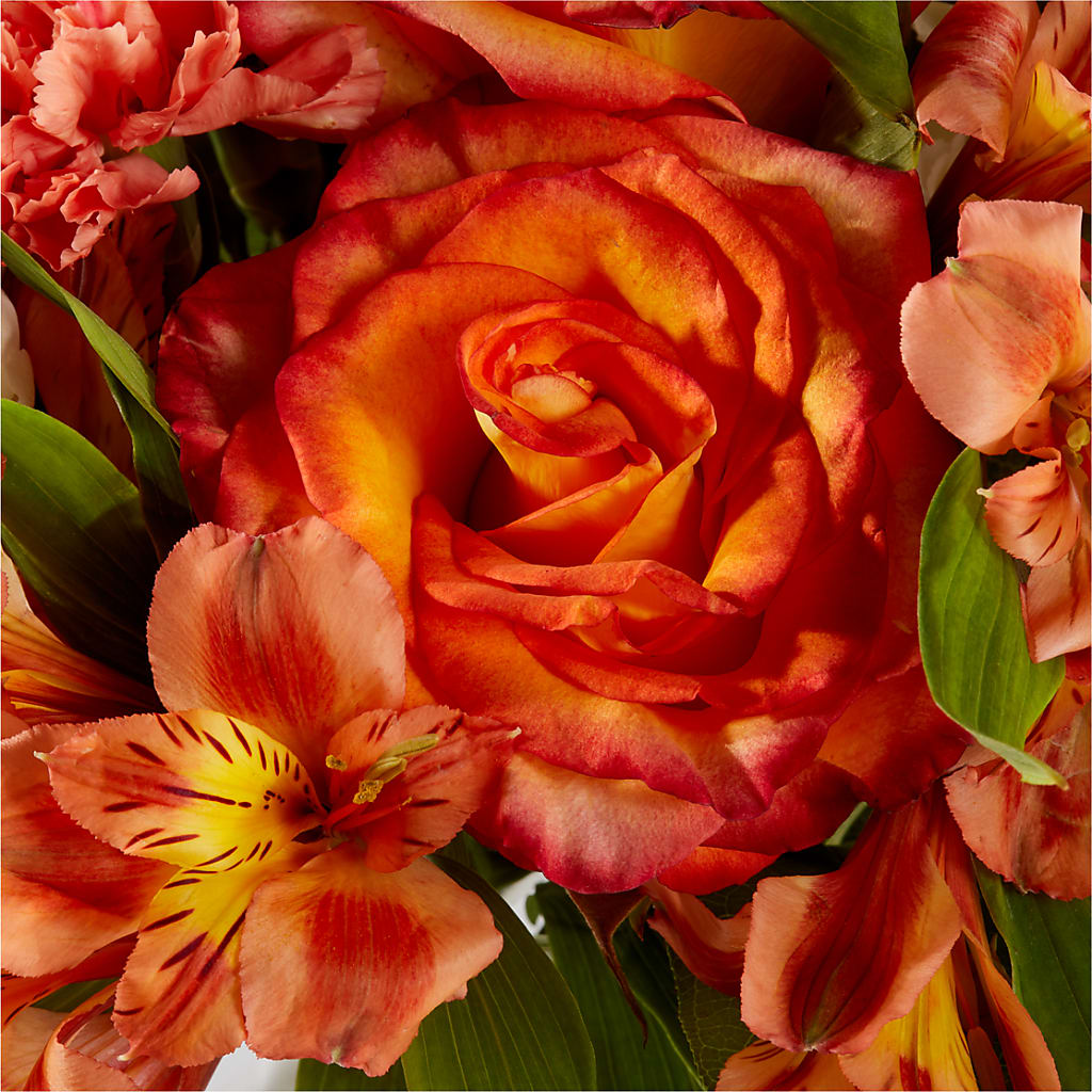 Apricot Glow Bouquet –  All About Flowers, Bellingham WA