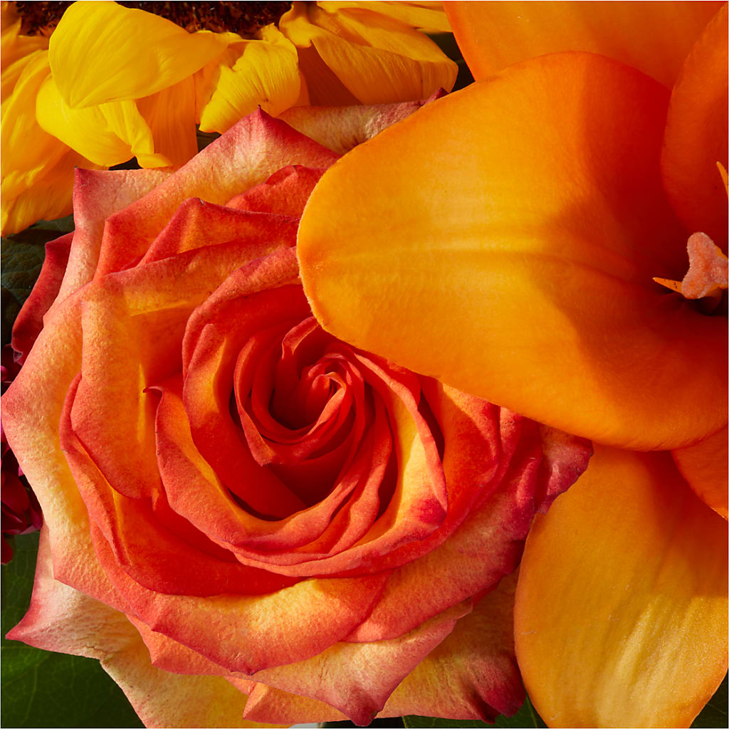 Grateful Centerpiece –  All About Flowers, Bellingham WA