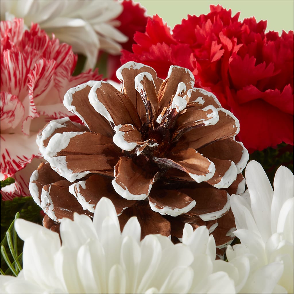 Candy Cane Lane Bouquet –  All About Flowers, Bellingham WA