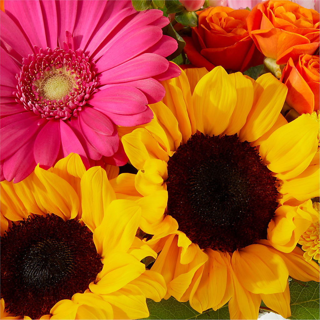 Beach Day Bouquet –  All About Flowers, Bellingham WA