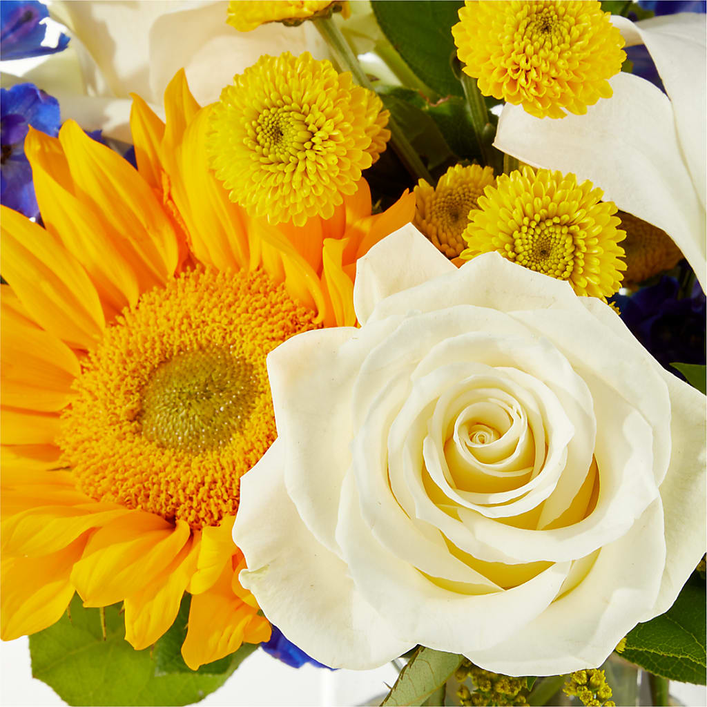Stargazing Bouquet –  All About Flowers, Bellingham WA