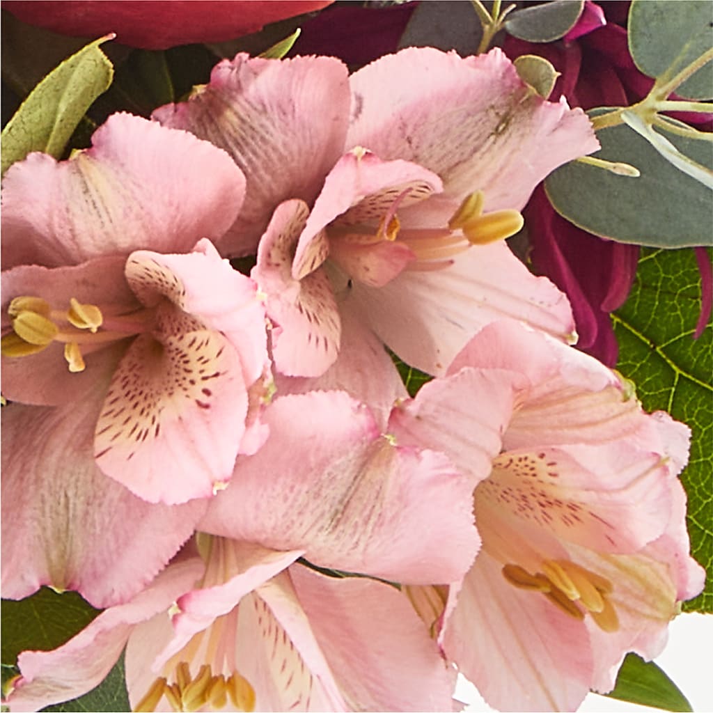 Berry Cobbler Bouquet –  All About Flowers, Bellingham WA