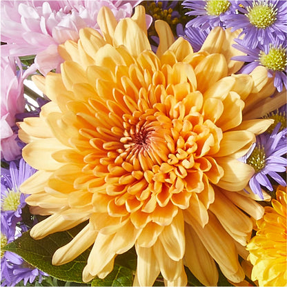 Countryside Bouquet –  All About Flowers, Bellingham WA