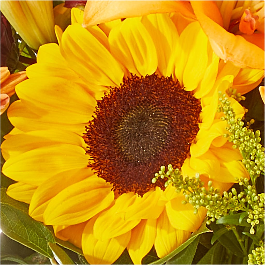 Seasons Change Bouquet –  All About Flowers, Bellingham WA
