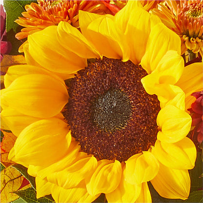 Sunny Side Bouquet –  All About Flowers, Bellingham WA