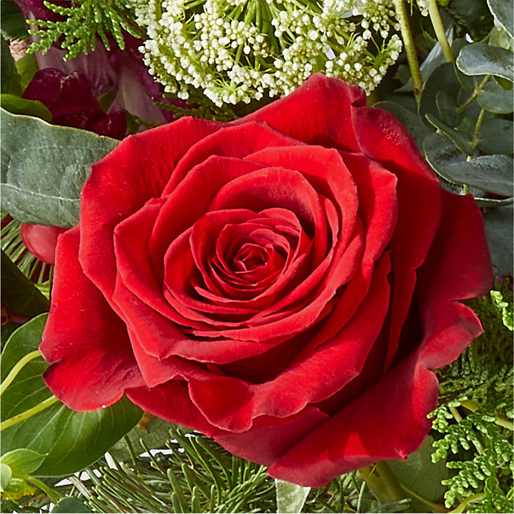Cranberry Fizz Bouquet –  All About Flowers, Bellingham WA