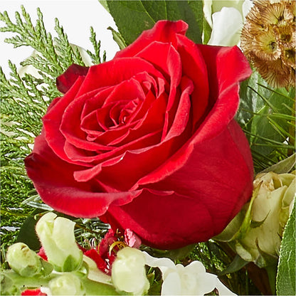 Deck the Halls Bouquet –  All About Flowers, Bellingham WA