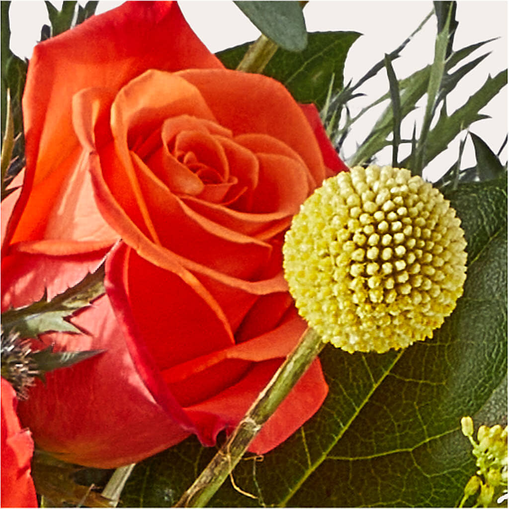 Disco Bouquet –  All About Flowers, Bellingham WA