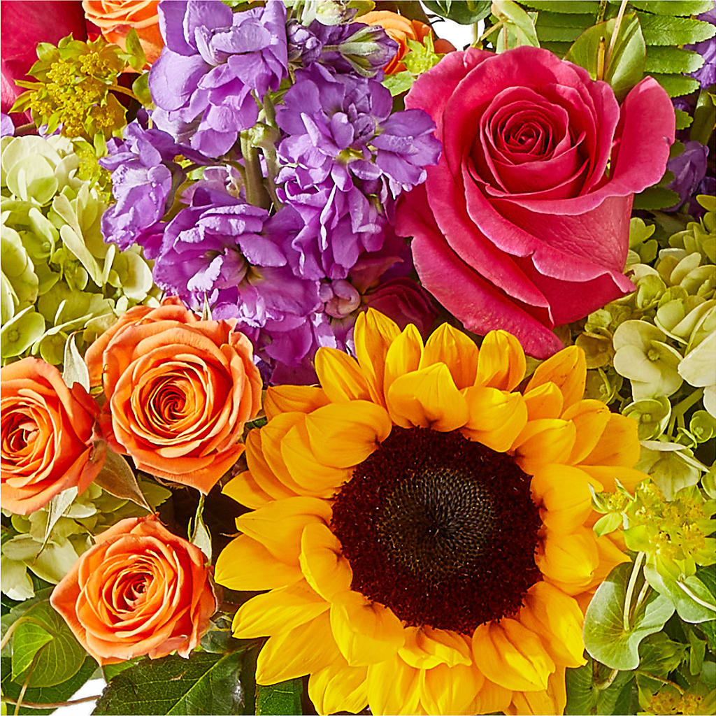Vibrant Greetings Bouquet –  All About Flowers, Bellingham WA