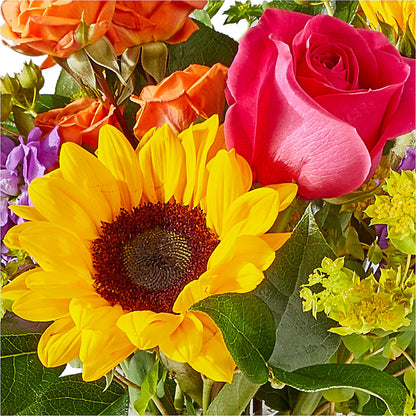 Vibrant Greetings Bouquet –  All About Flowers, Bellingham WA