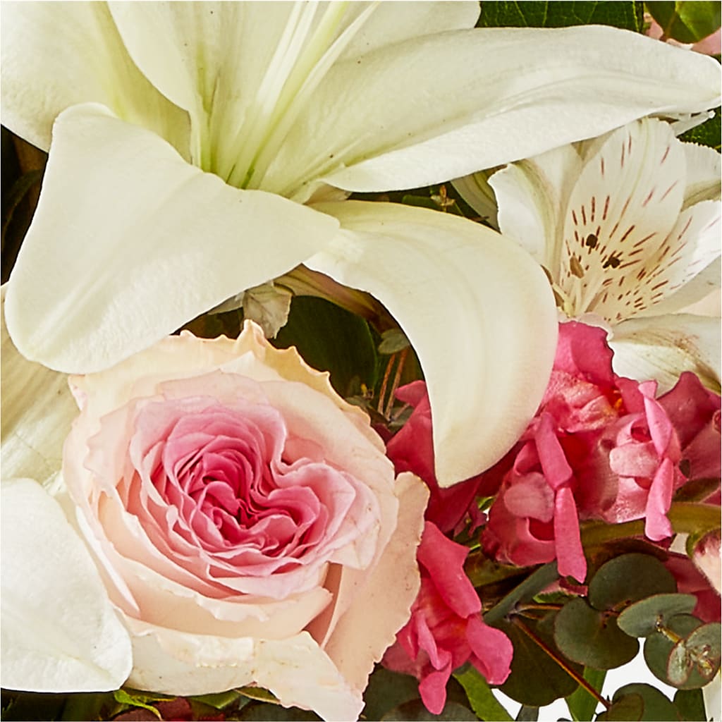 Ballet Slippers Bouquet –  All About Flowers, Bellingham WA