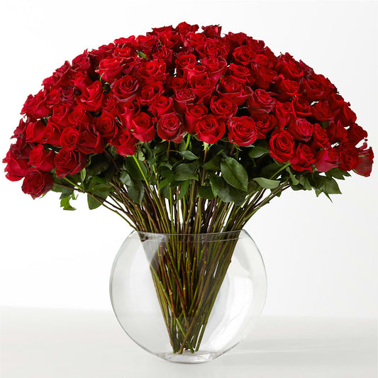 The Idealist –  All About Flowers, Bellingham WA
