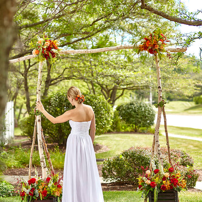 Arbor of Love Archway –  All About Flowers, Bellingham WA