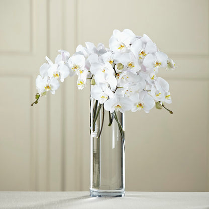 White Phalaenopsis Bouquet –  All About Flowers, Bellingham WA