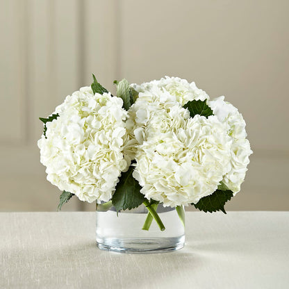 White Hydrangea Bouquet –  All About Flowers, Bellingham WA
